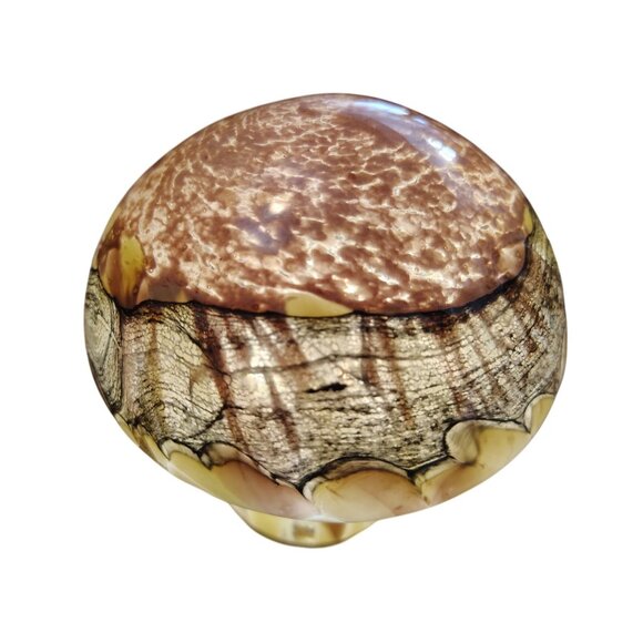 Iridescent Glass Mushroom Night Light, USB Cord, Brown Gold, Swirl, Whimsical - Picture 4 of 10
